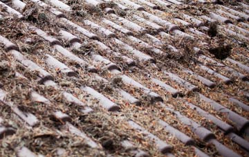 Tardy Gate roof cleaning companies